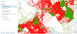 Tree Inventory for Courtenay